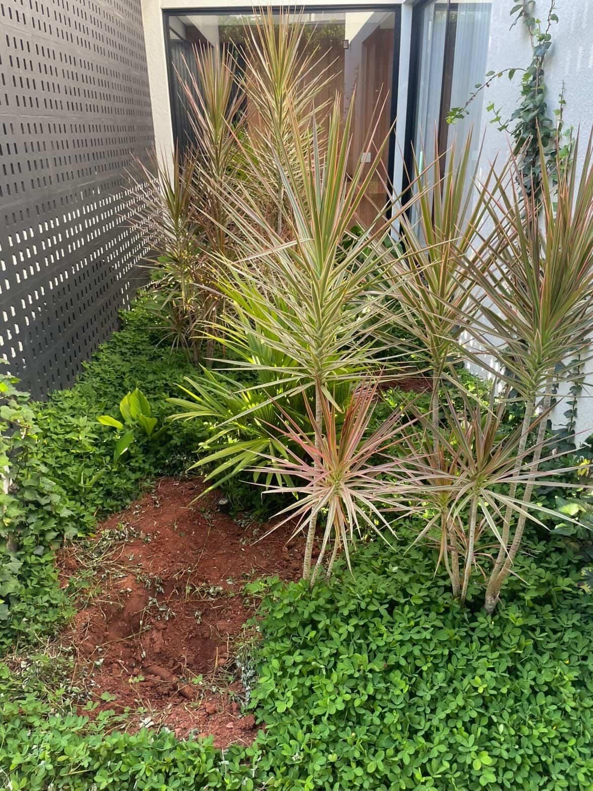 Jardim Antes